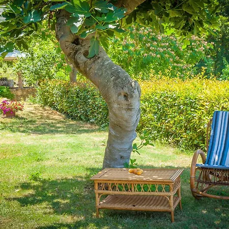 Bio Tra Cielo E Terra *